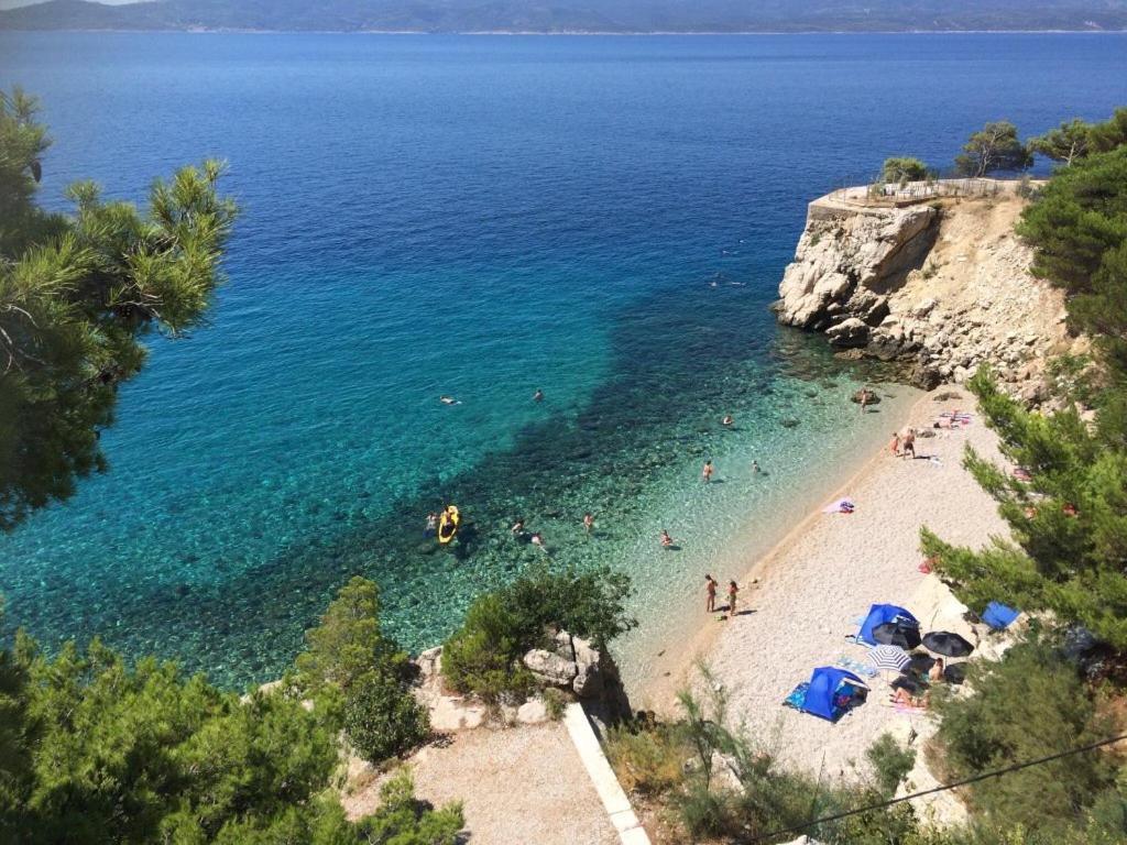 Hostel Dalmatia Marusici  Exterior photo